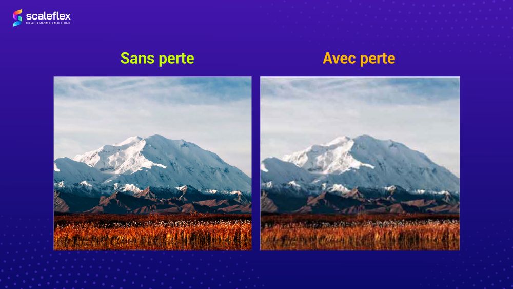 La comparaison côte à côte entre la compression sans perte et compression avec perte.