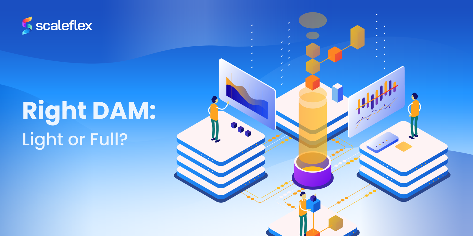 Light DAM vs Full DAM: Which Solution Do You Really Need?